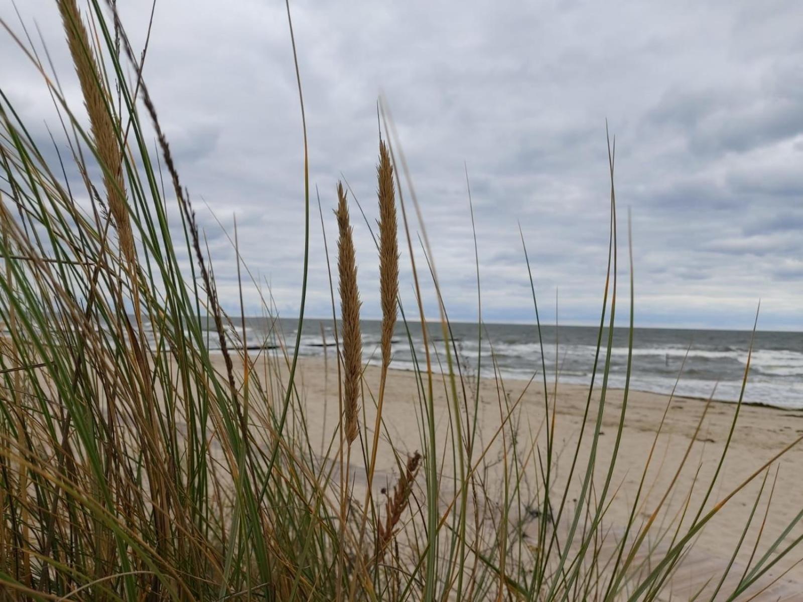 Ostsee Ferienhaus Usedom Hundefreundlich Familie Stopp Haus 22 Lutow Exterior photo